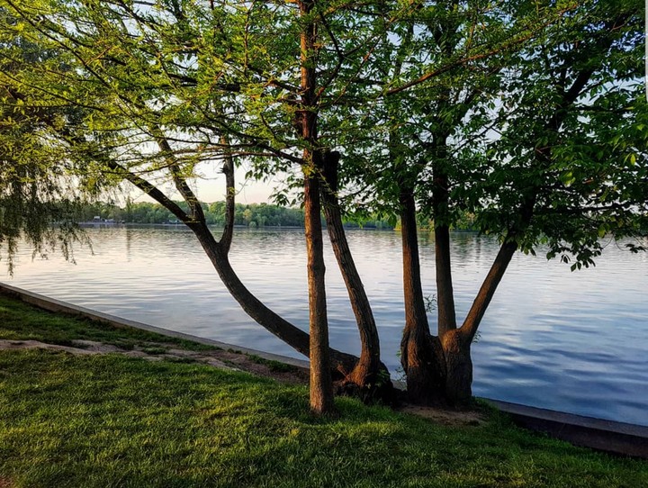 Spring in Herastrau, Bucharest