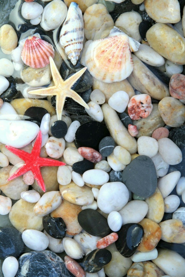 sea sal