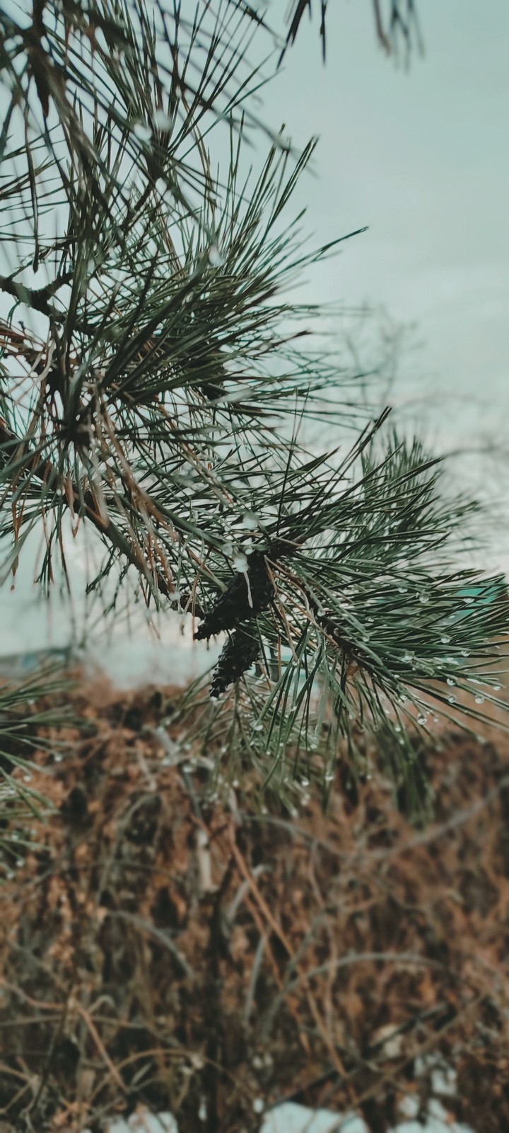 моменты