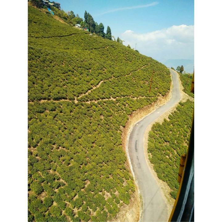Road to Heaven