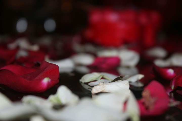 Rose petals