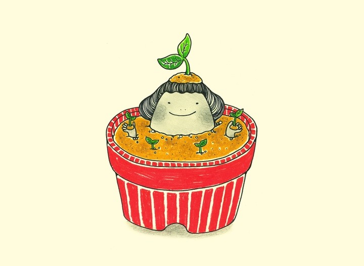 싹이 나고 있어요