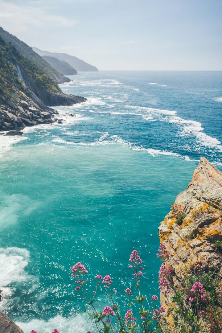 море
