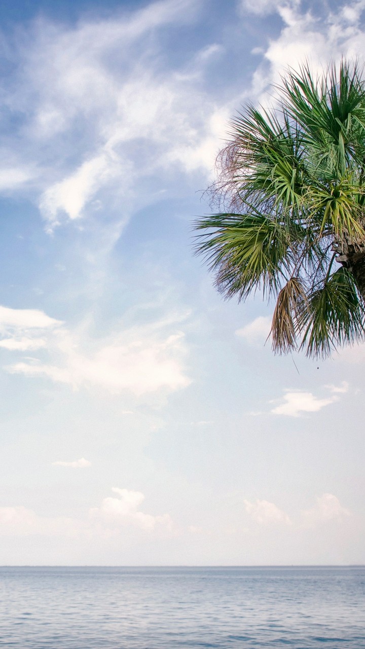 sea