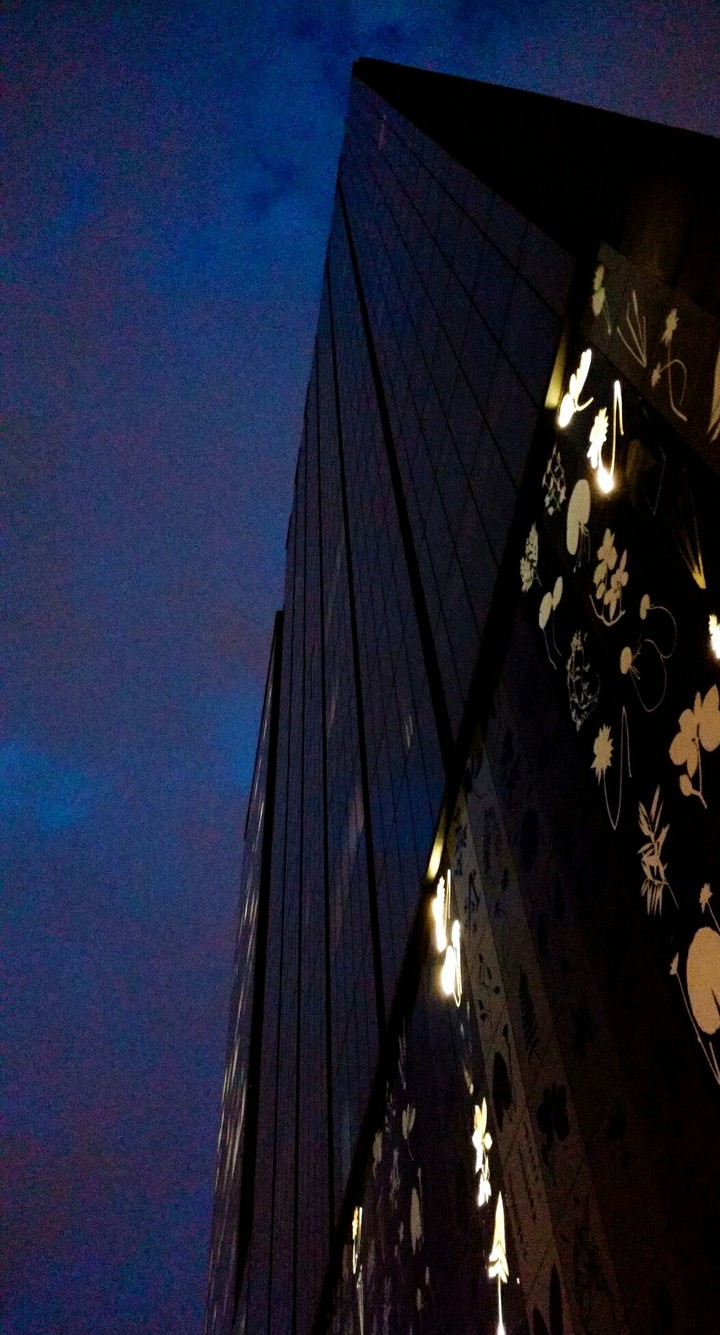 In The Night.