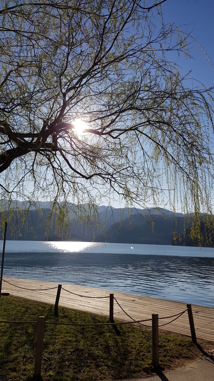 Spring Lake