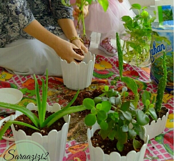 Planting flowers