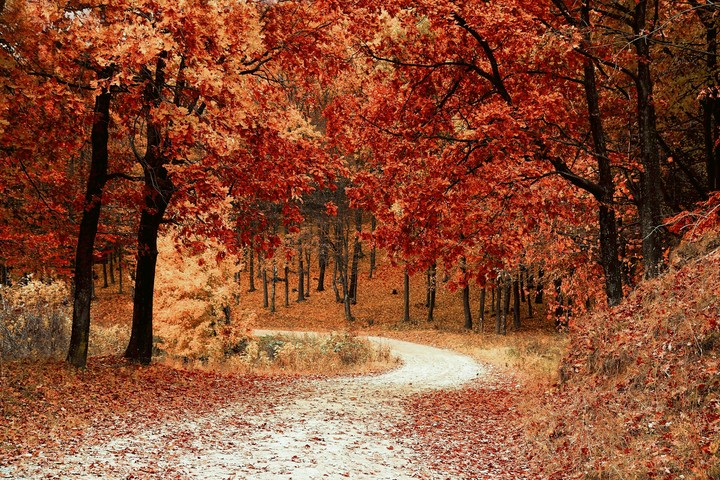 autumm