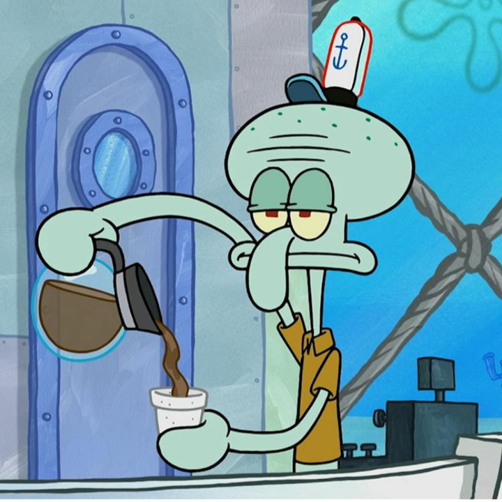 octopus