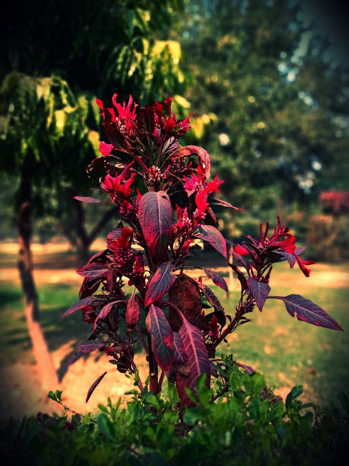 Calmness of nature