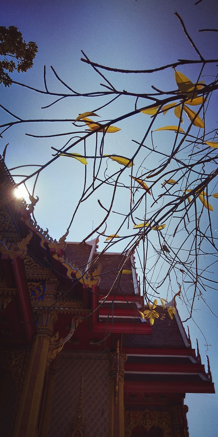 Temple