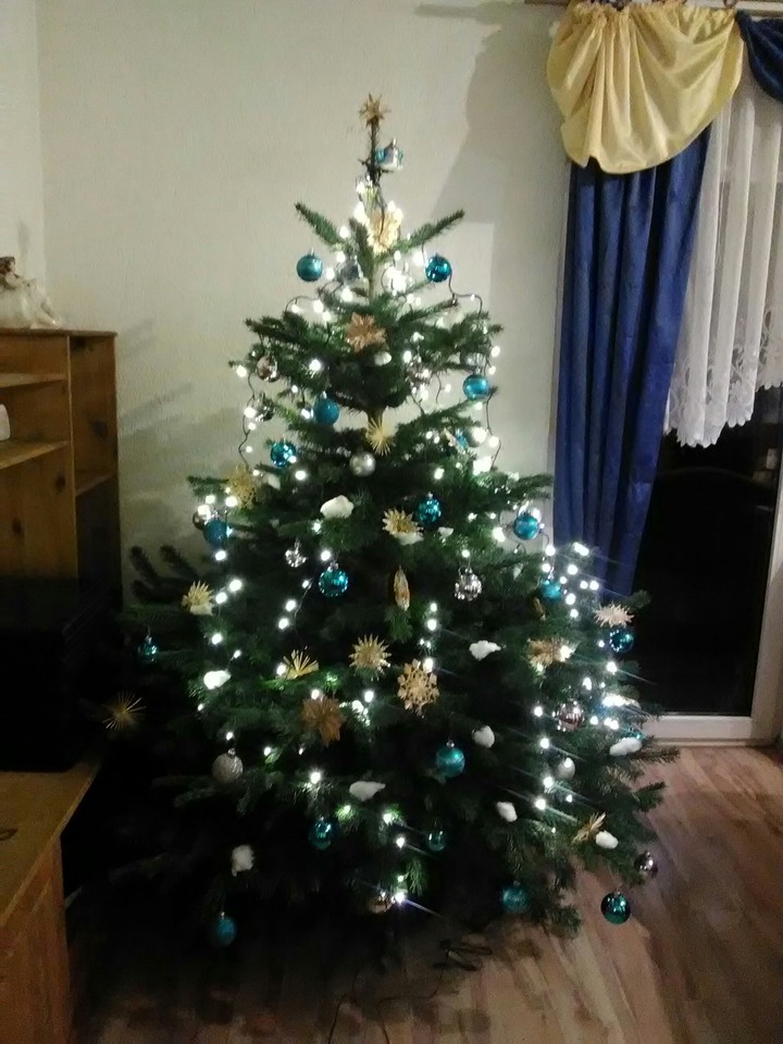 Christbaum