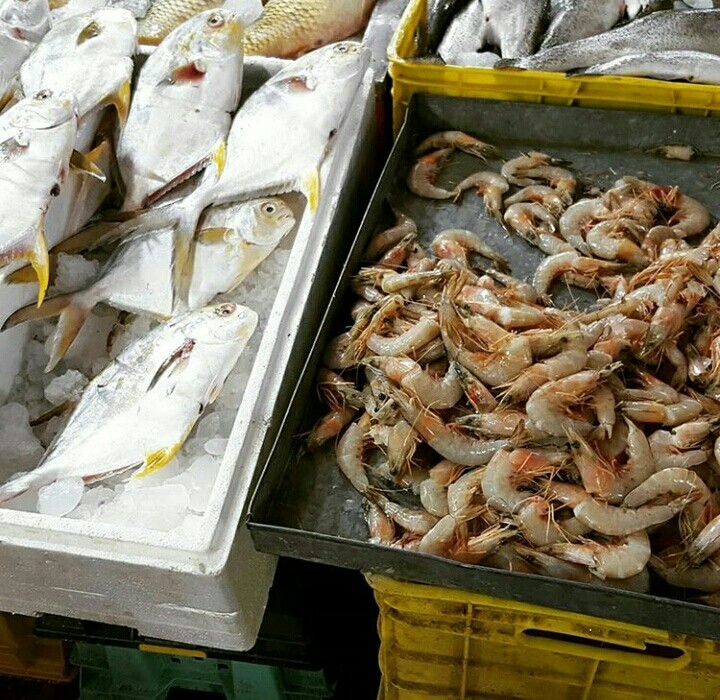 Fish and Shrimp
