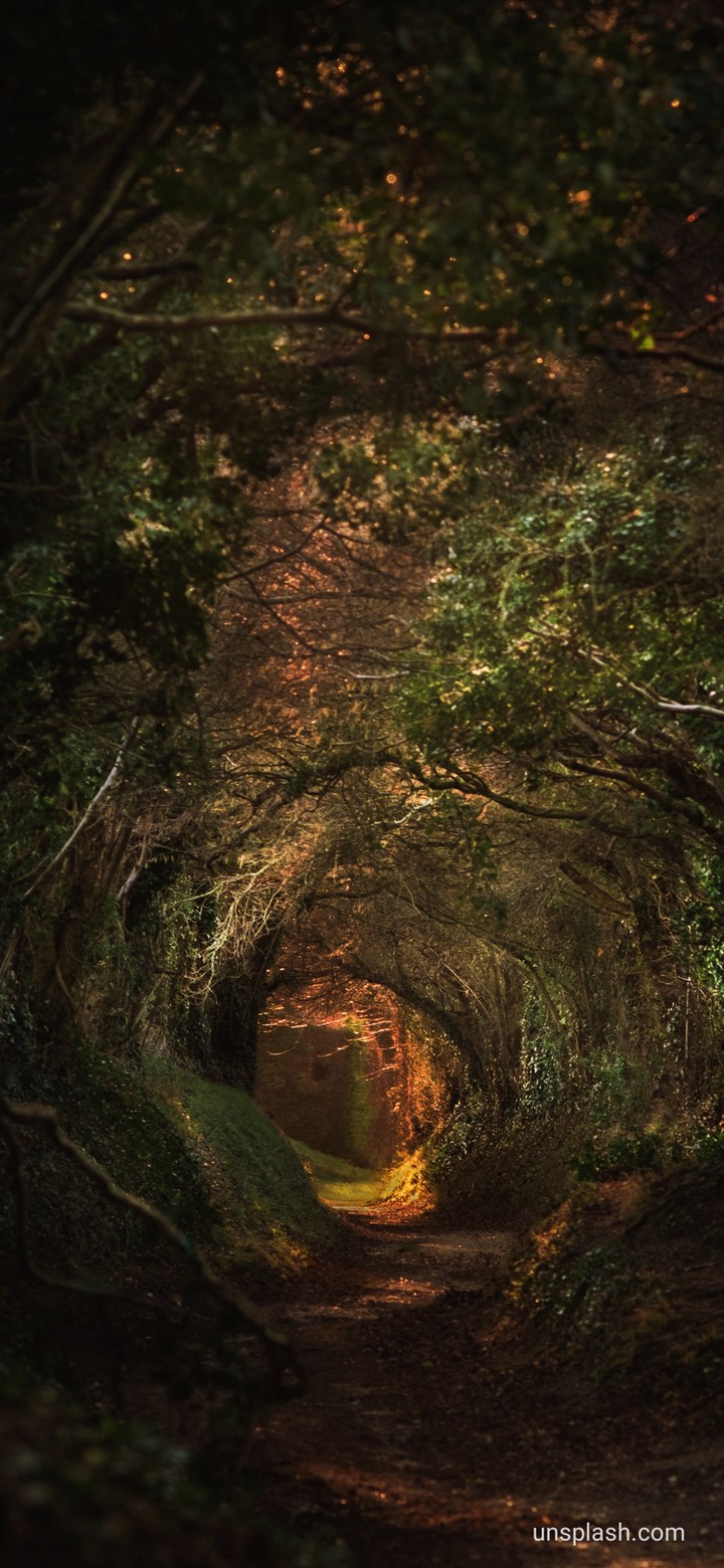 nature.