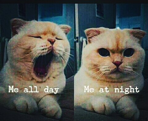 Me everyday
