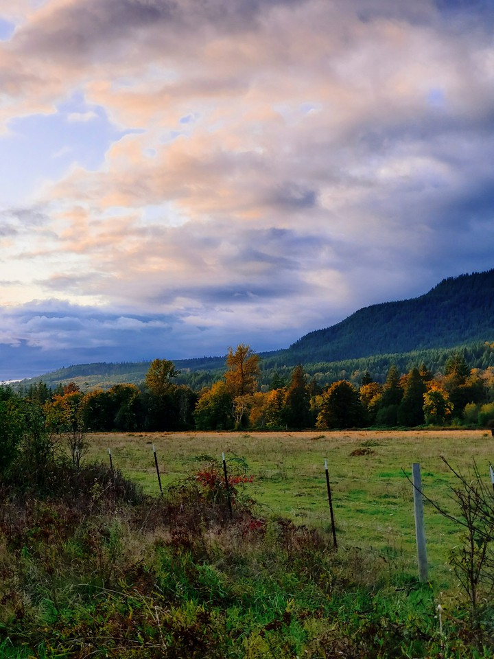 nature
