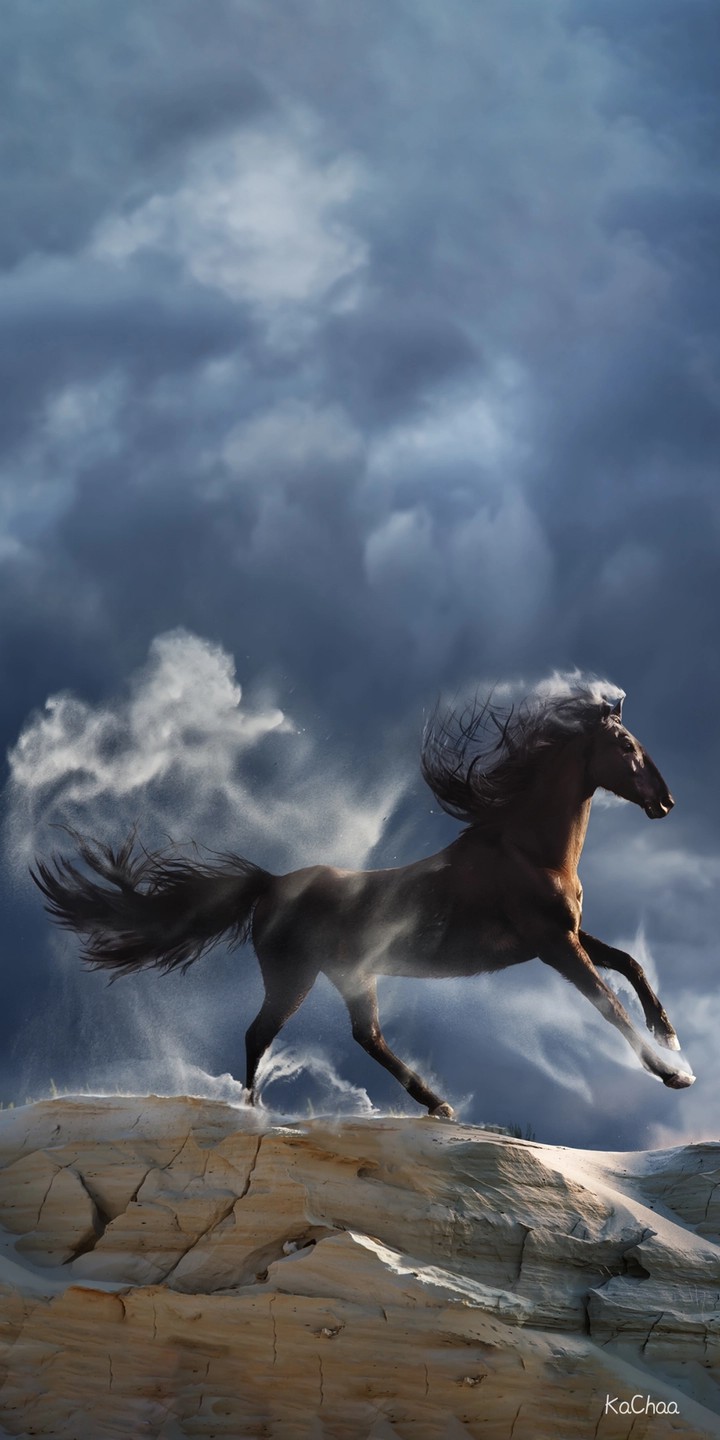 ? horse