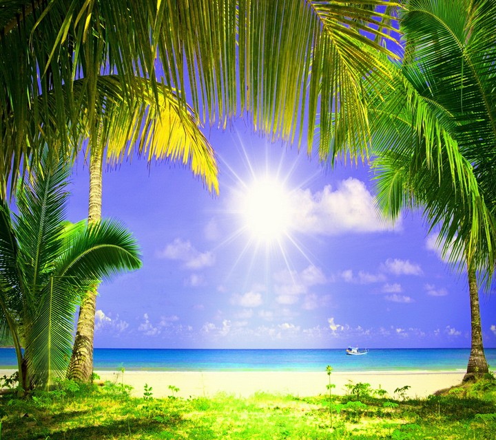 tropical paradise