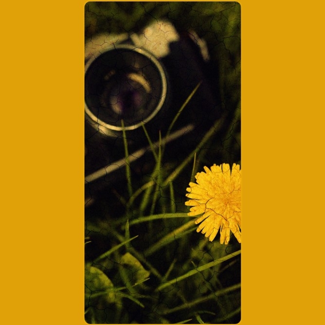 flor