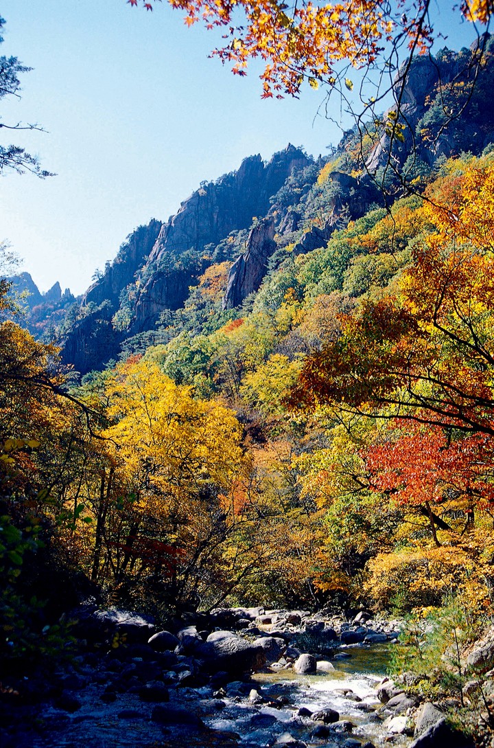 사계절풍경