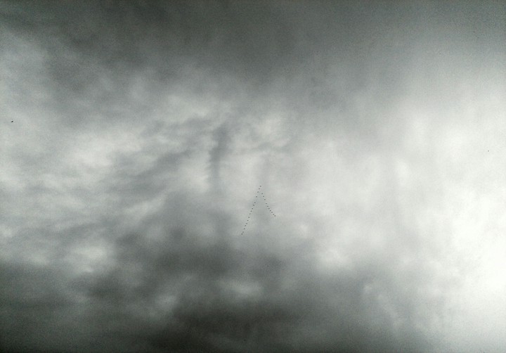 zoom it
