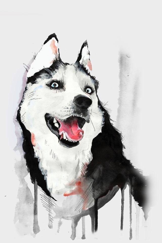 Painted dog