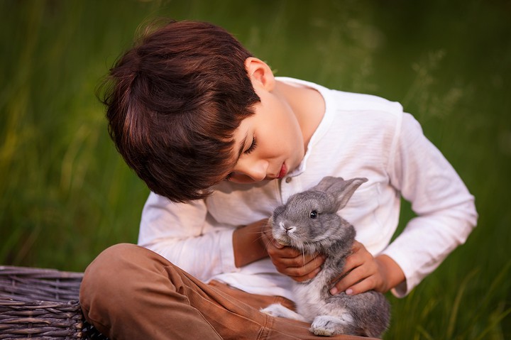 Boy & bunny