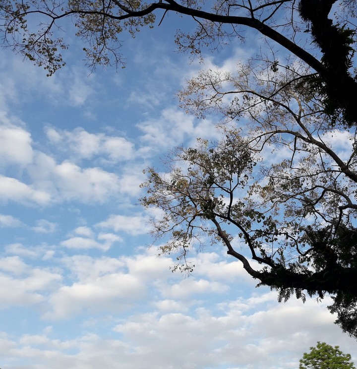 Another blue blue sky