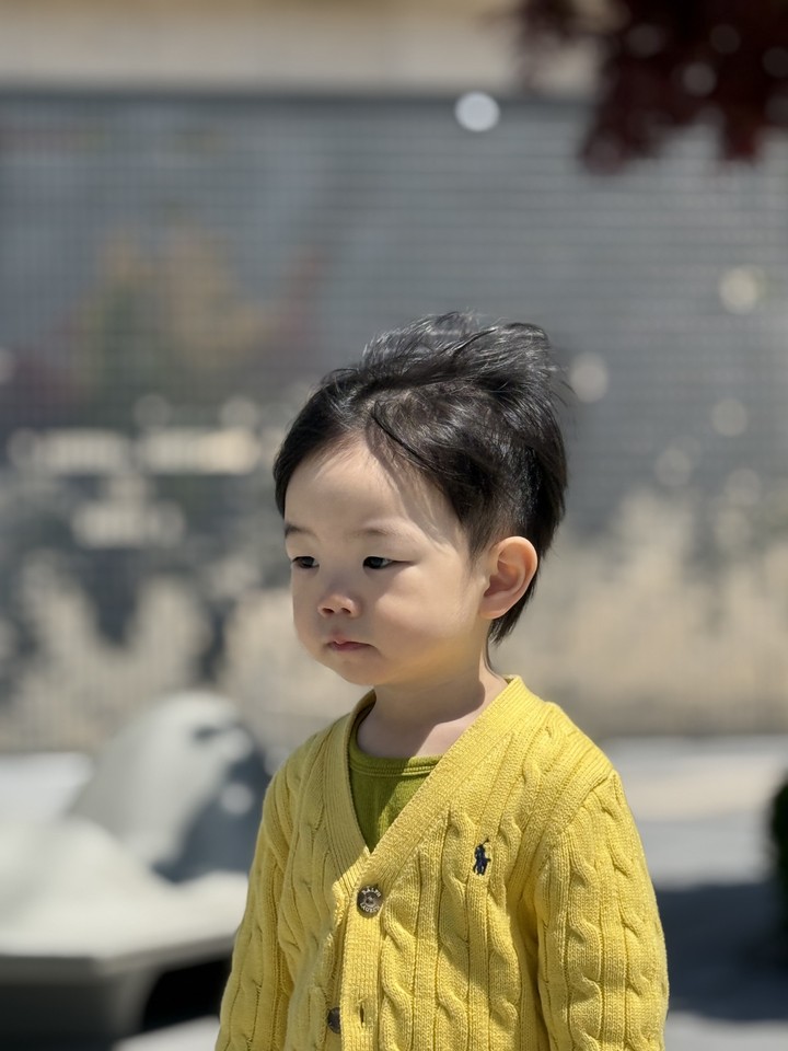 봄날 나들이