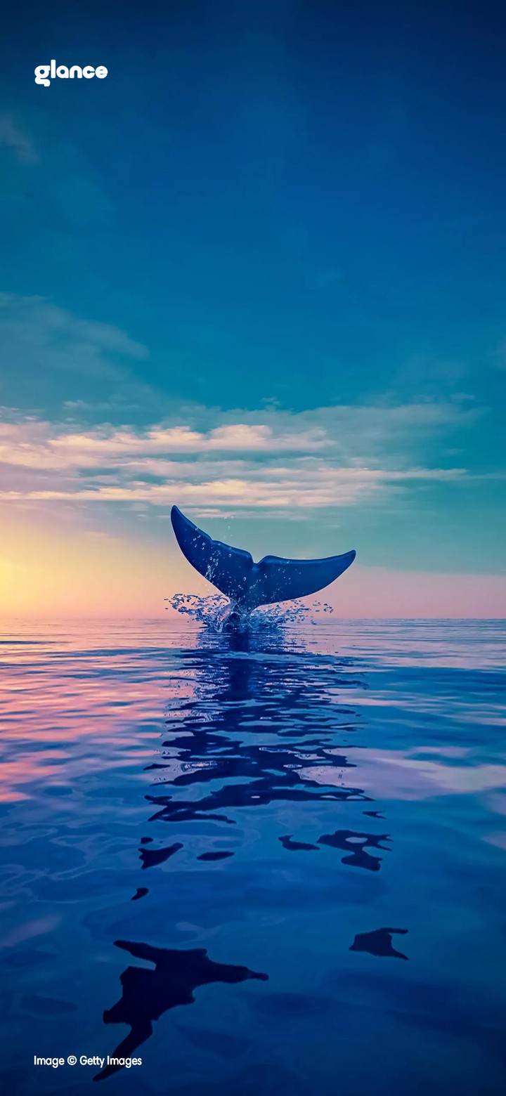 Mermaid in the ocean