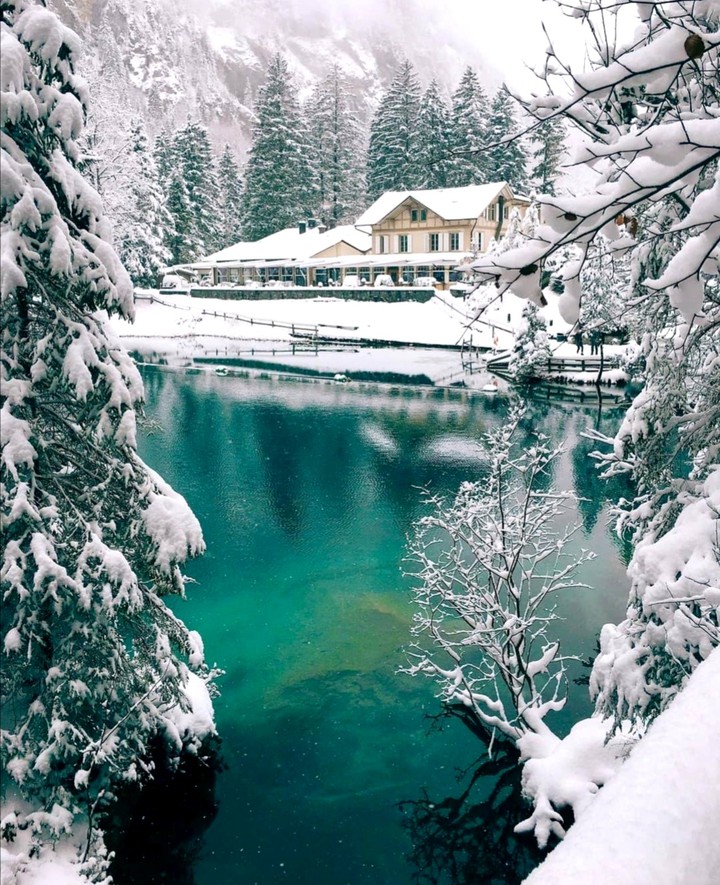 Winter vibes
