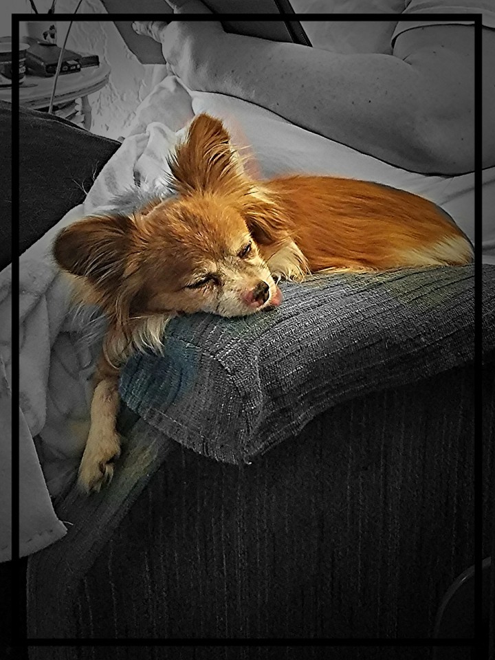 My old girl