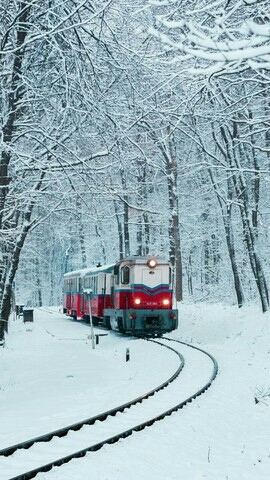train
