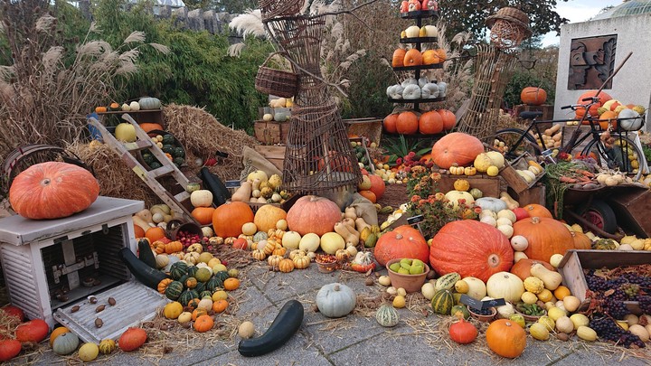 Samhain