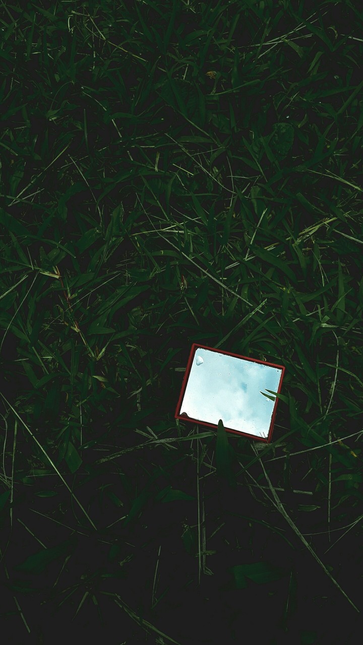 mirror