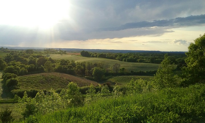 Wisconsin Beauty