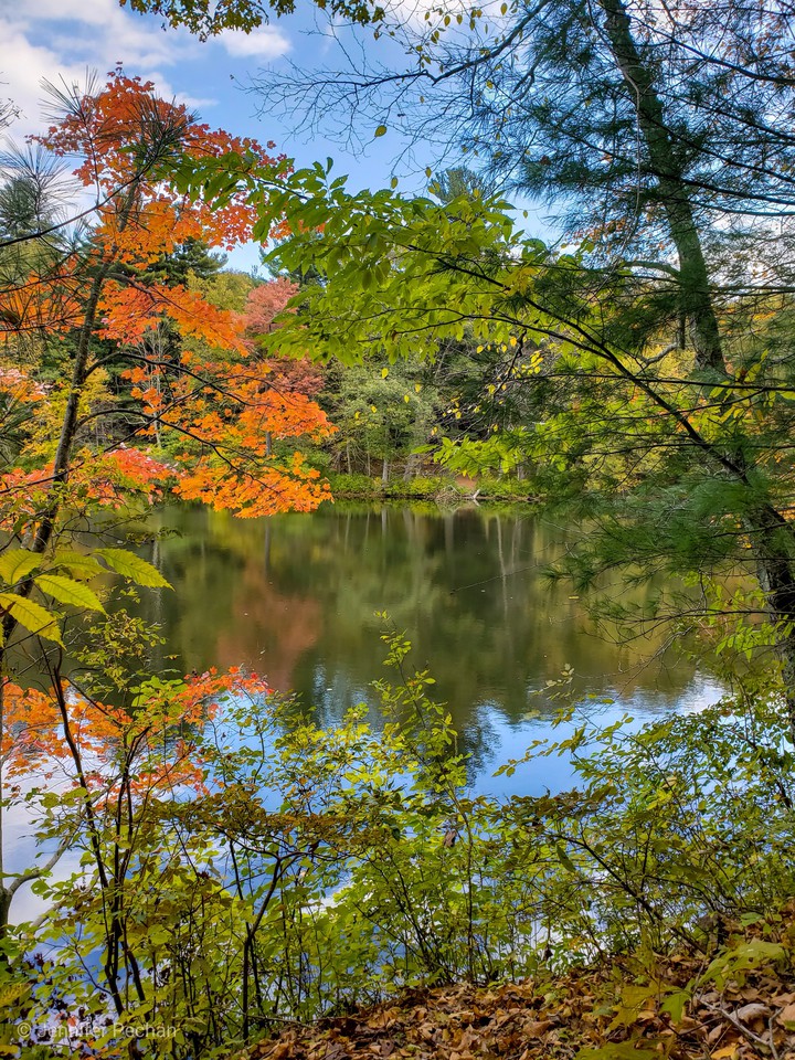 NY lake