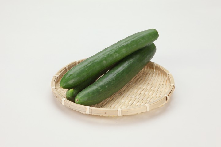 음식이미지