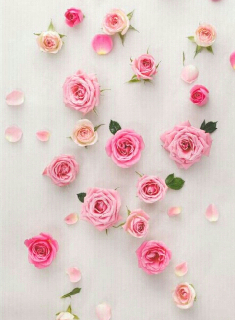 ♥♥♥