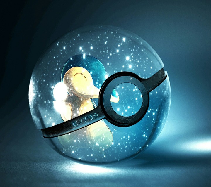 Cyndaquil's Pokeball