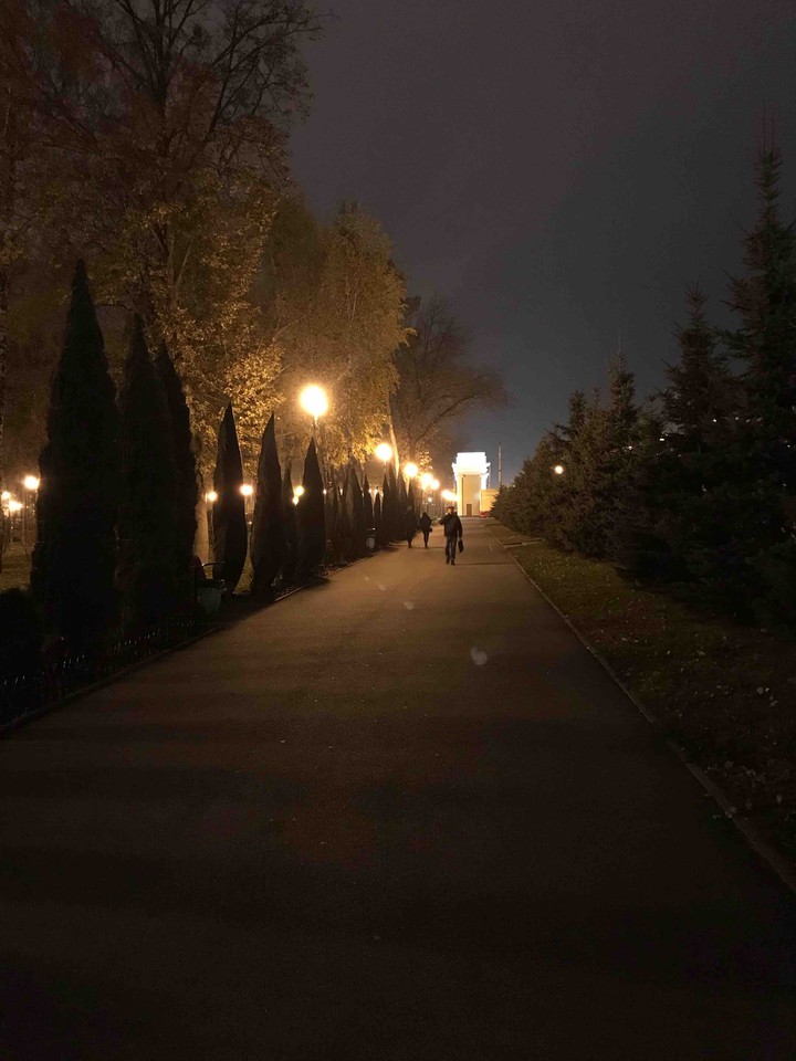 алея