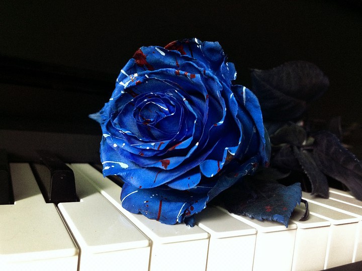 piano and flower