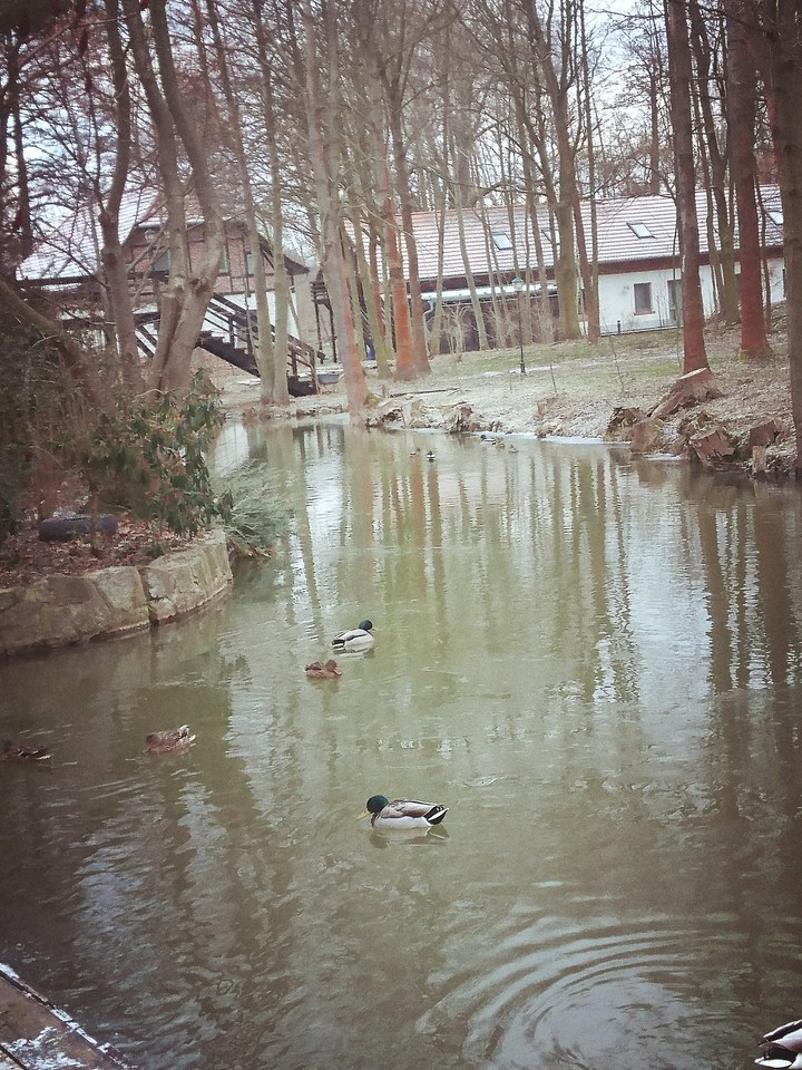 pure nature