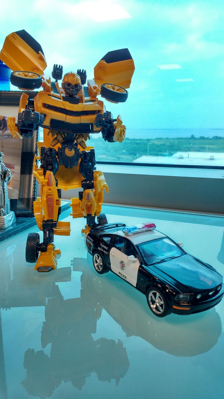 toy