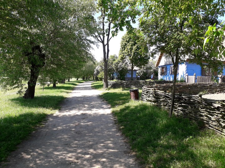 Path