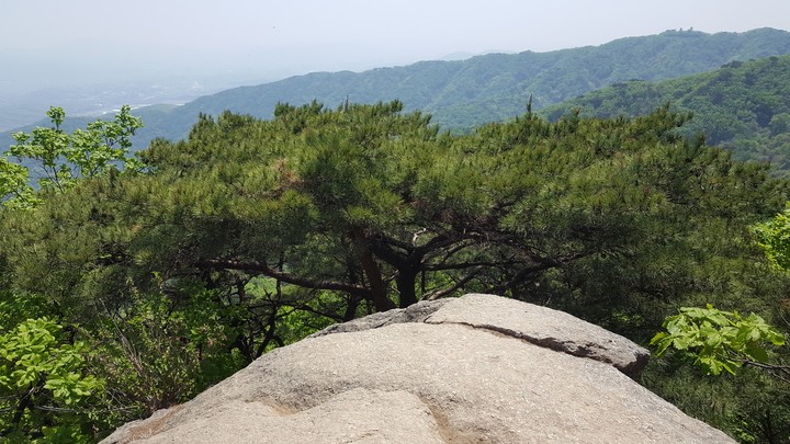 정상