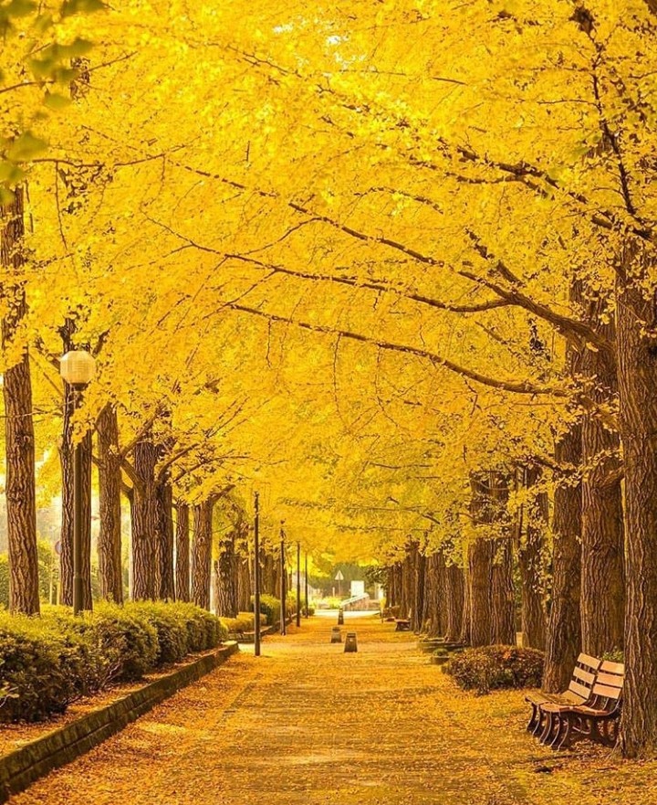 Autumn