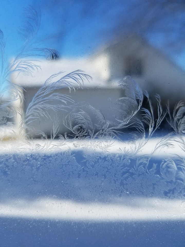 Frozen ❄❄❄❄