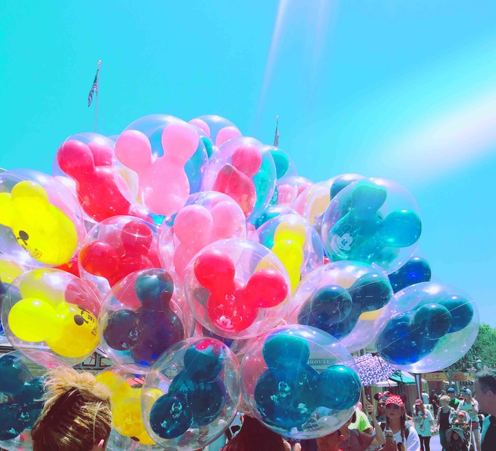 Disneyland in the United States