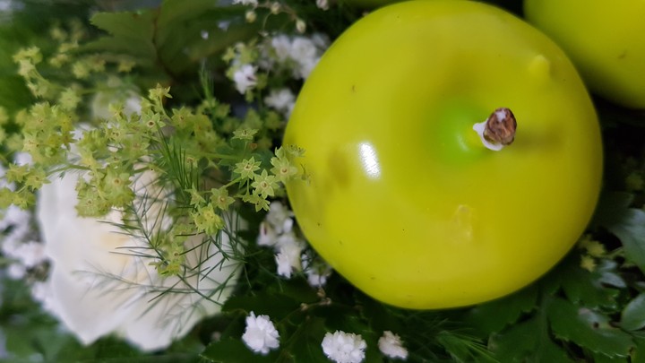 fiori